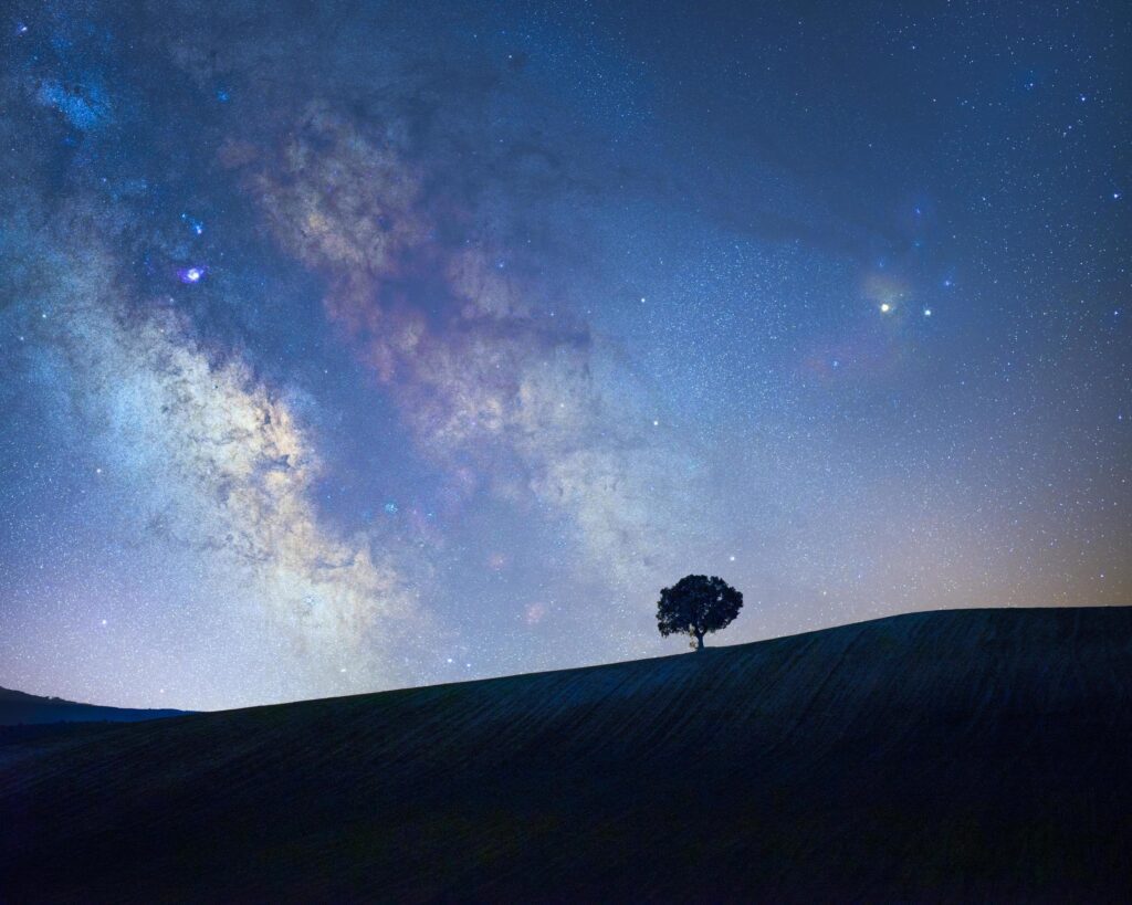 Galactic center of the milky way with a tree silhouette on a meadow Stock Free