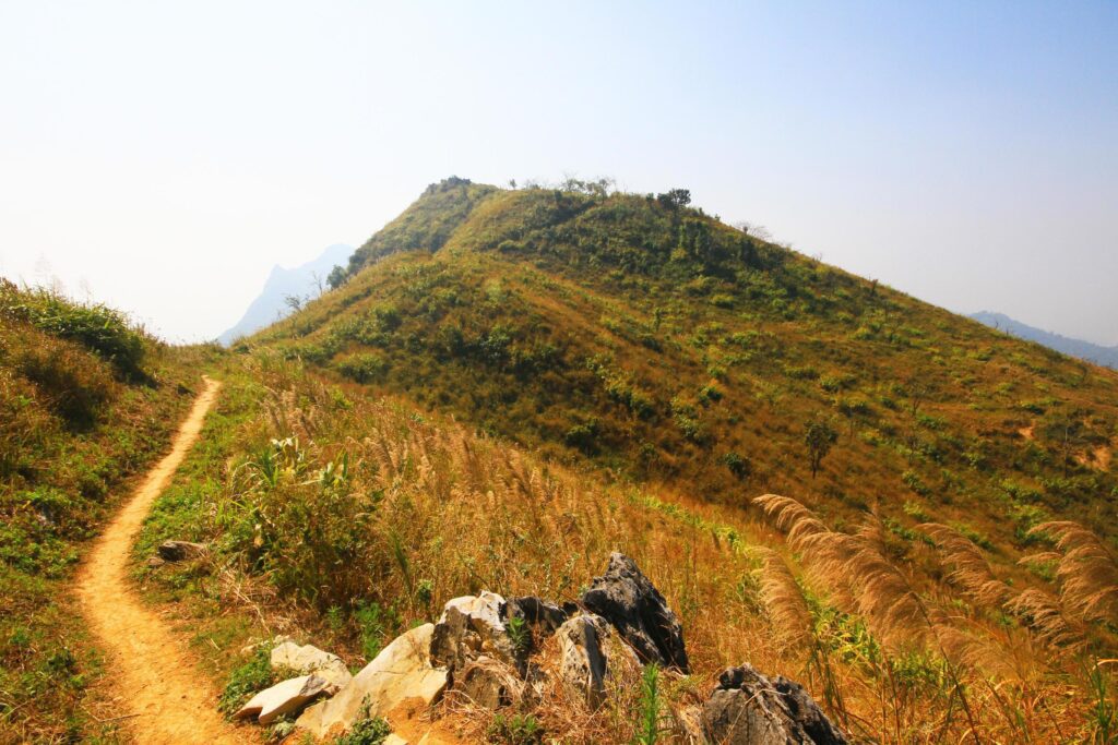 Natural footpath and dry grassland on the mountain at Doi Pha Tang hill in Thailand Stock Free