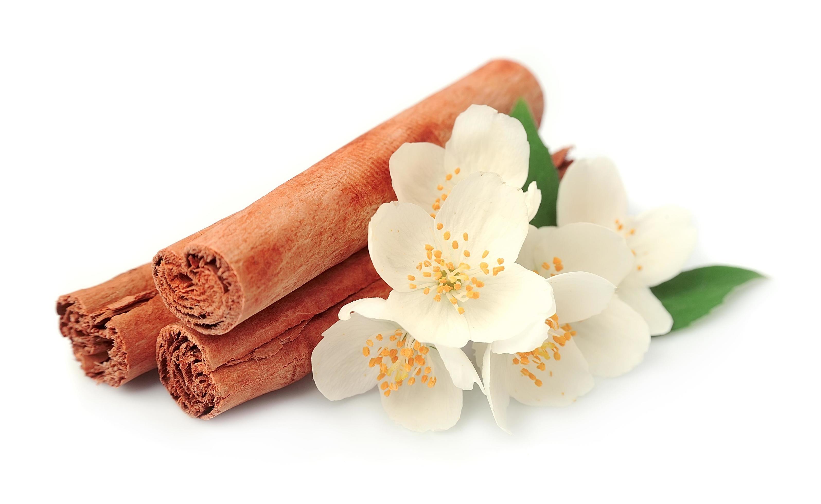 Cinnamon with jasmin flowers Stock Free