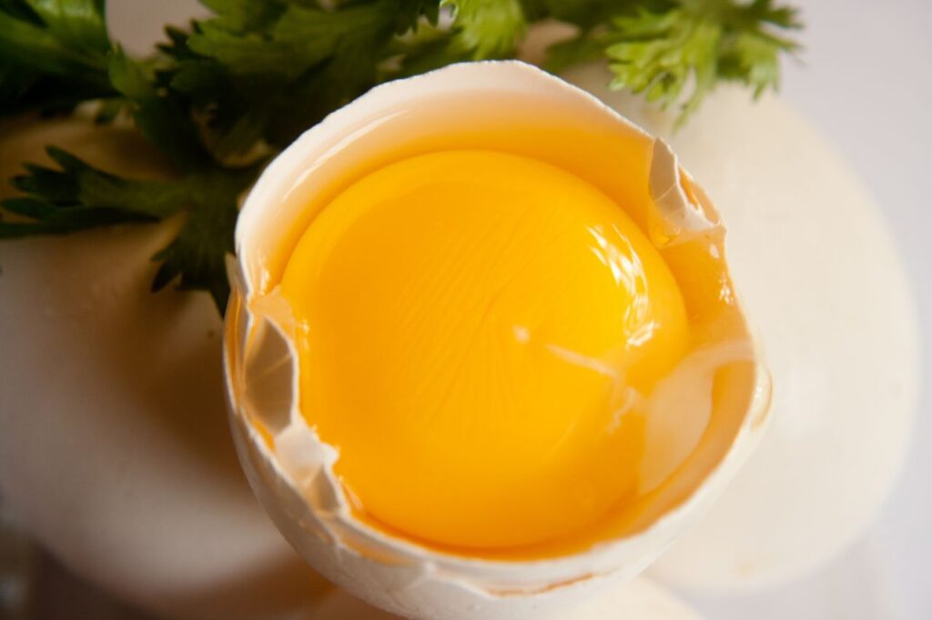 Raw Egg Yolk Stock Free