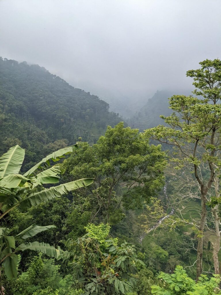 Landscape photo of mountain with fogging forest and cloudy sky. The photo is suitable to use for climate changes poster and nature background. Stock Free