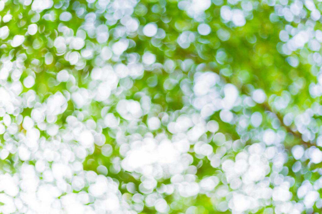 green leaf bokeh blurred for nature background Stock Free