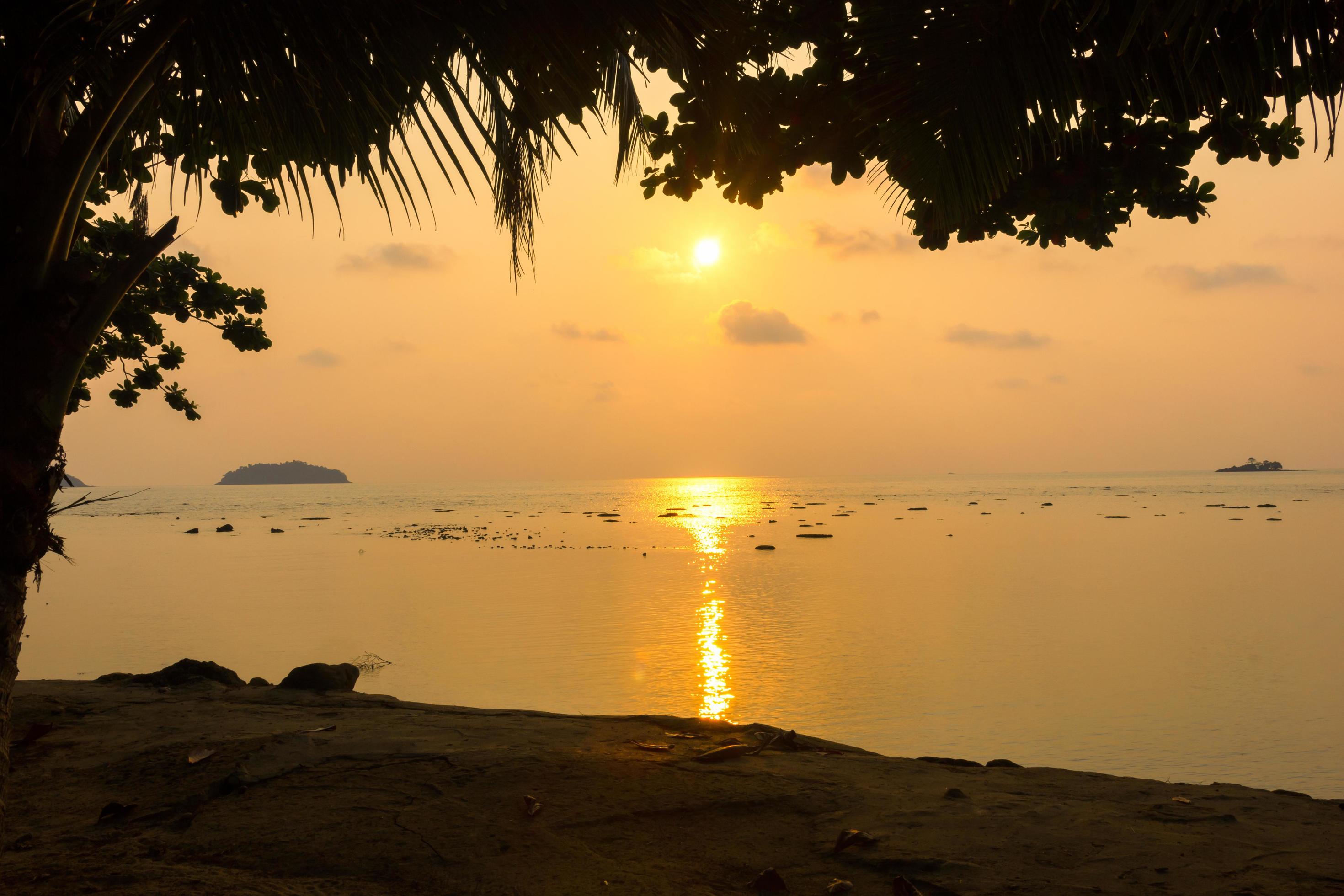 Natural silhouette of a sea view at sunset with trees framed in orange tones, nobody, copy space. Stock Free