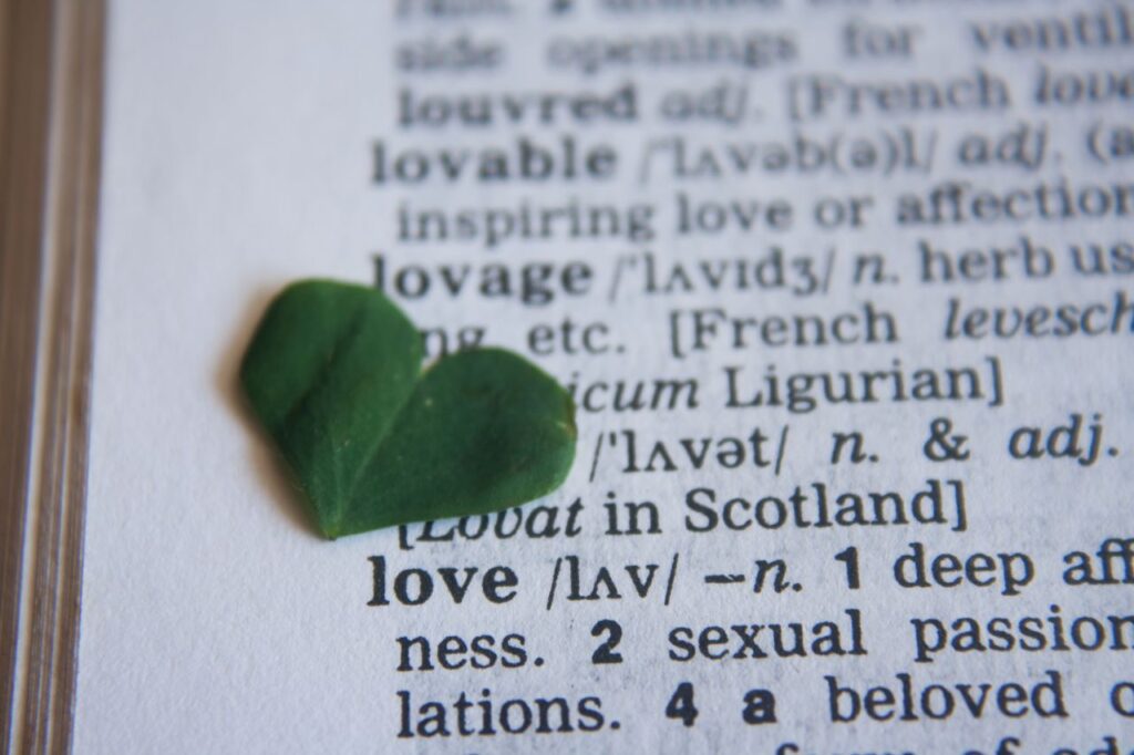 Love Heart On Dictionary Stock Free