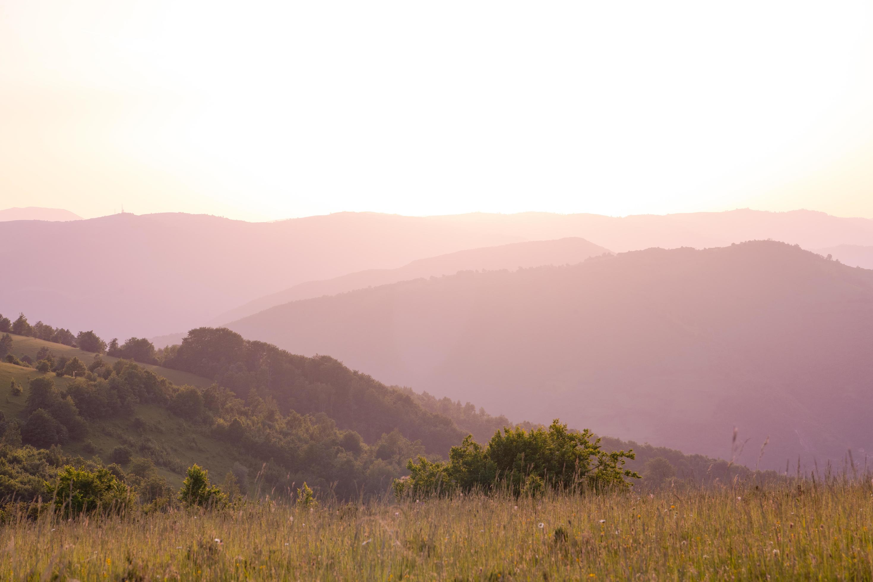 landscape nature summer Stock Free