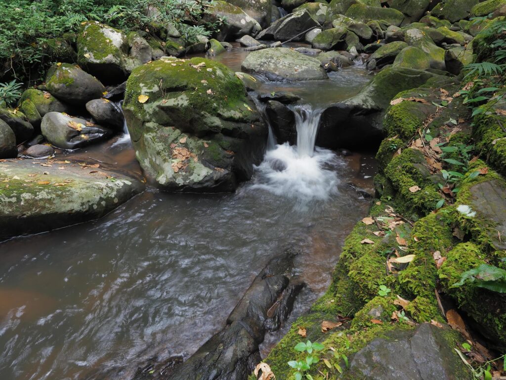 the nature of the waterfall Stock Free