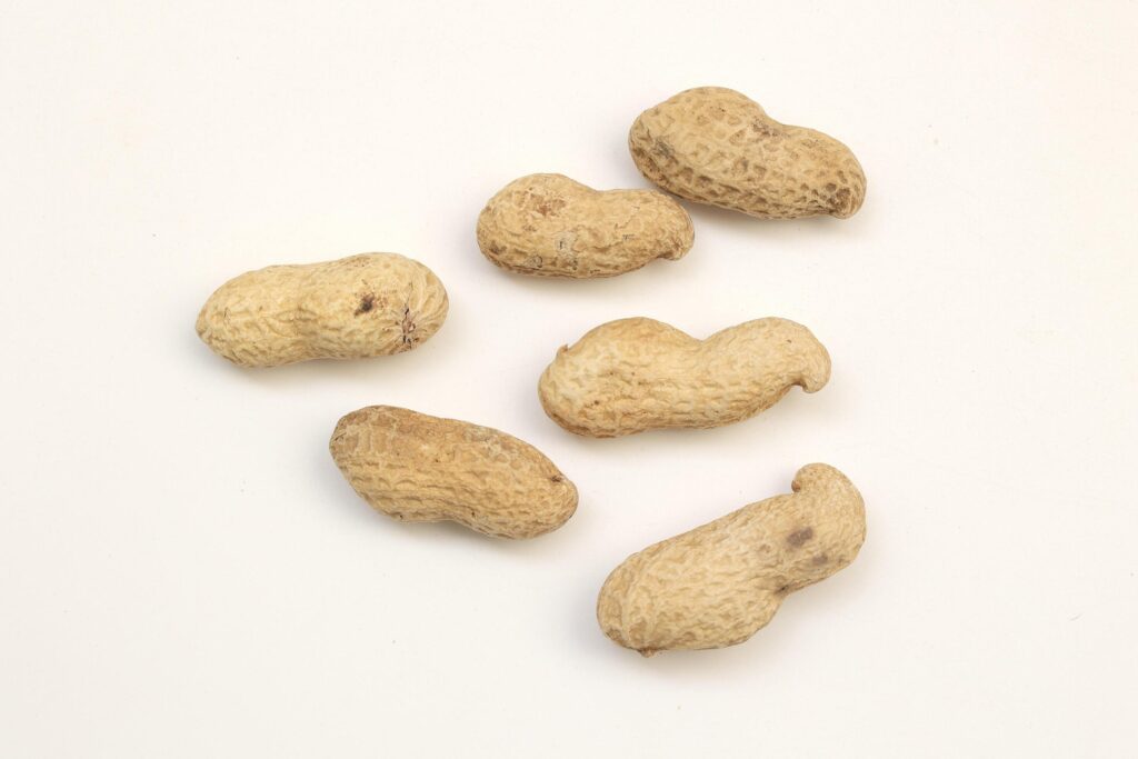 Peanut on white background Stock Free