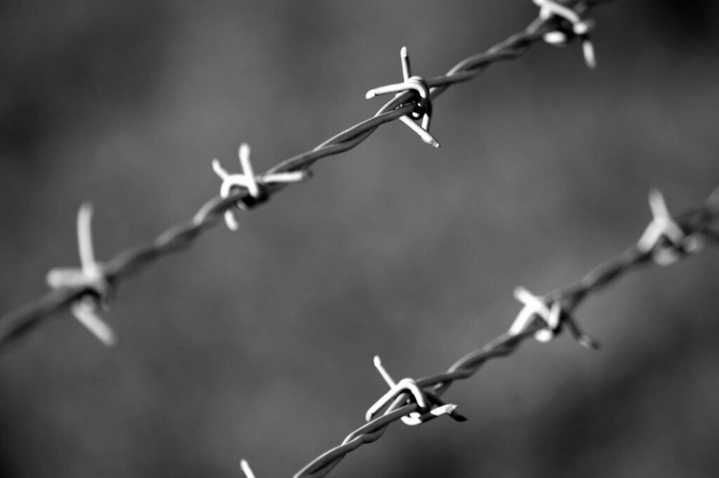 Barbed wire Stock Free