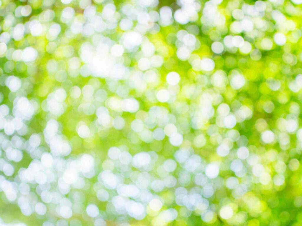 green bokeh light for natural background with space Stock Free