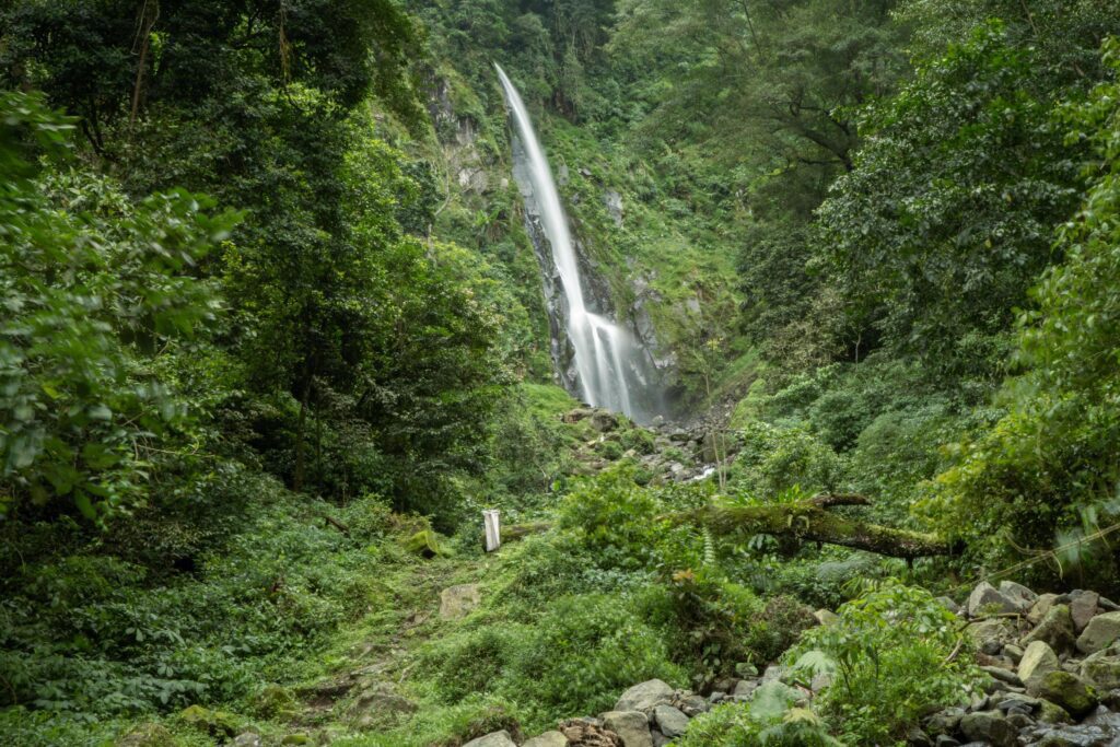 Scenery of single water fall on the tropical forest. The photo is suitable to use for adventure content media, nature poster and forest background. Stock Free