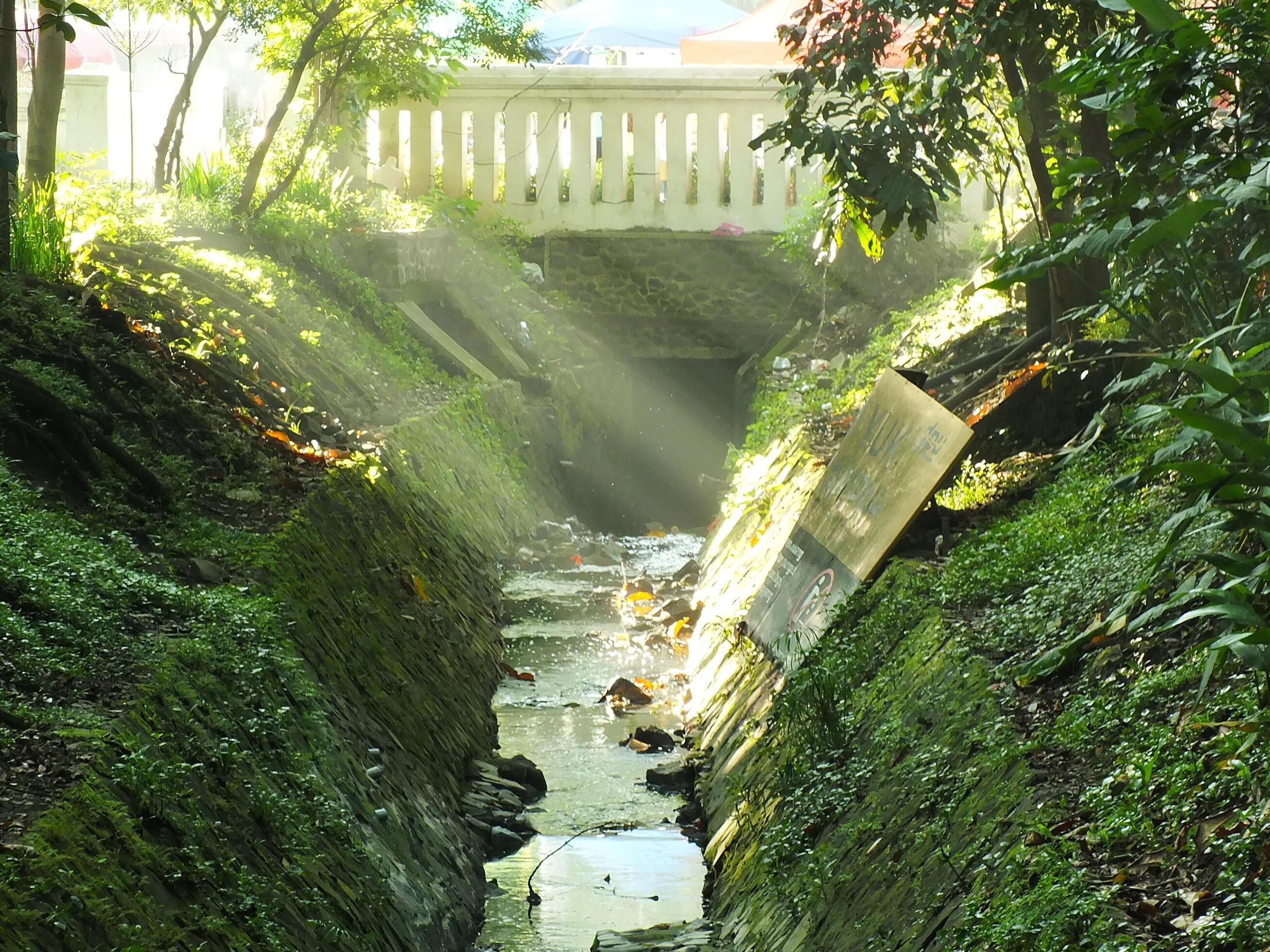 Mystical morning sunbeams on a park with bridge as a background. Sunlight through trees and river Stock Free