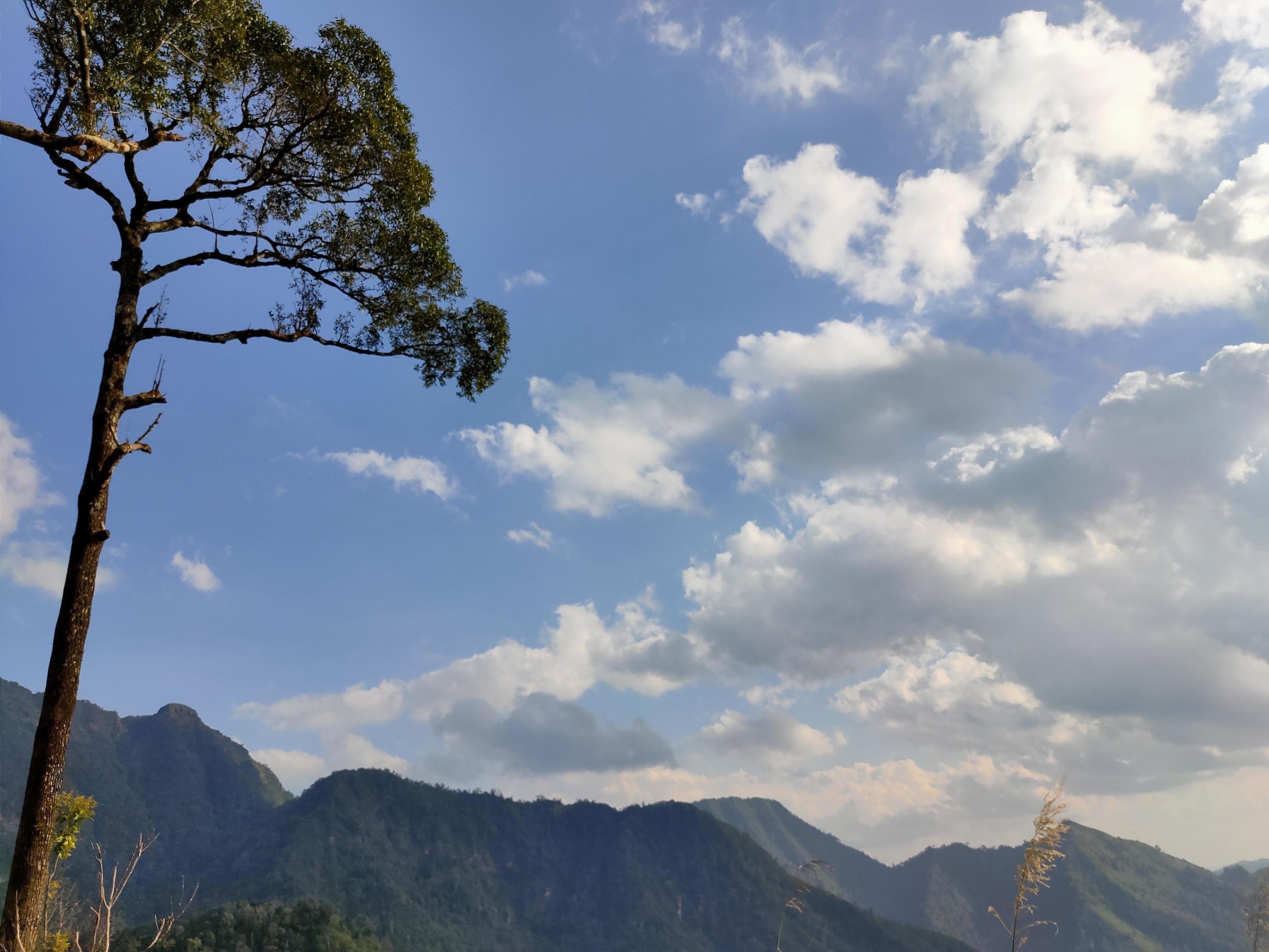 Mountain valley during sunrise. Natural summer landscape Stock Free