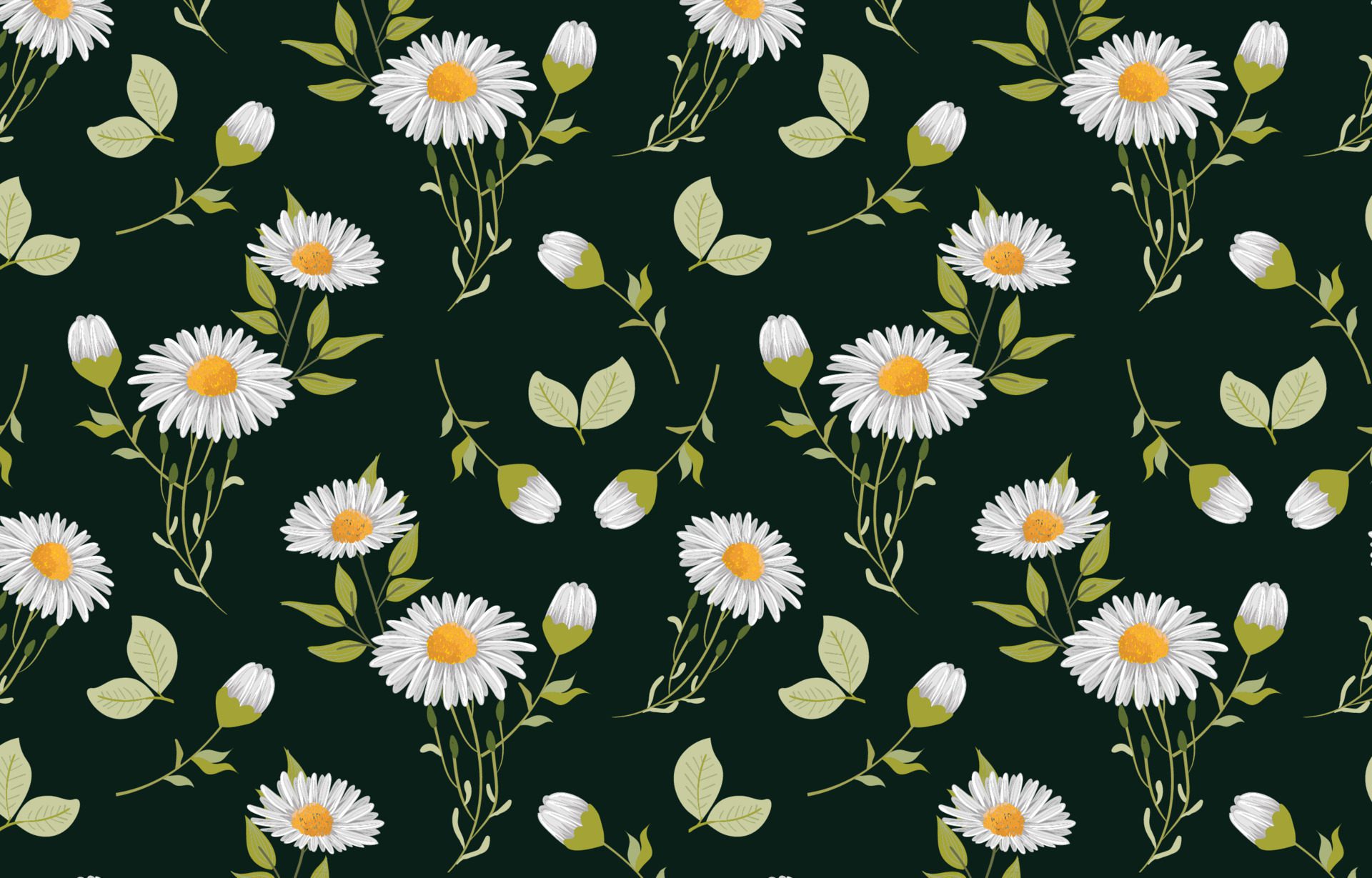 daisy flowers seamless pattern Free Vector