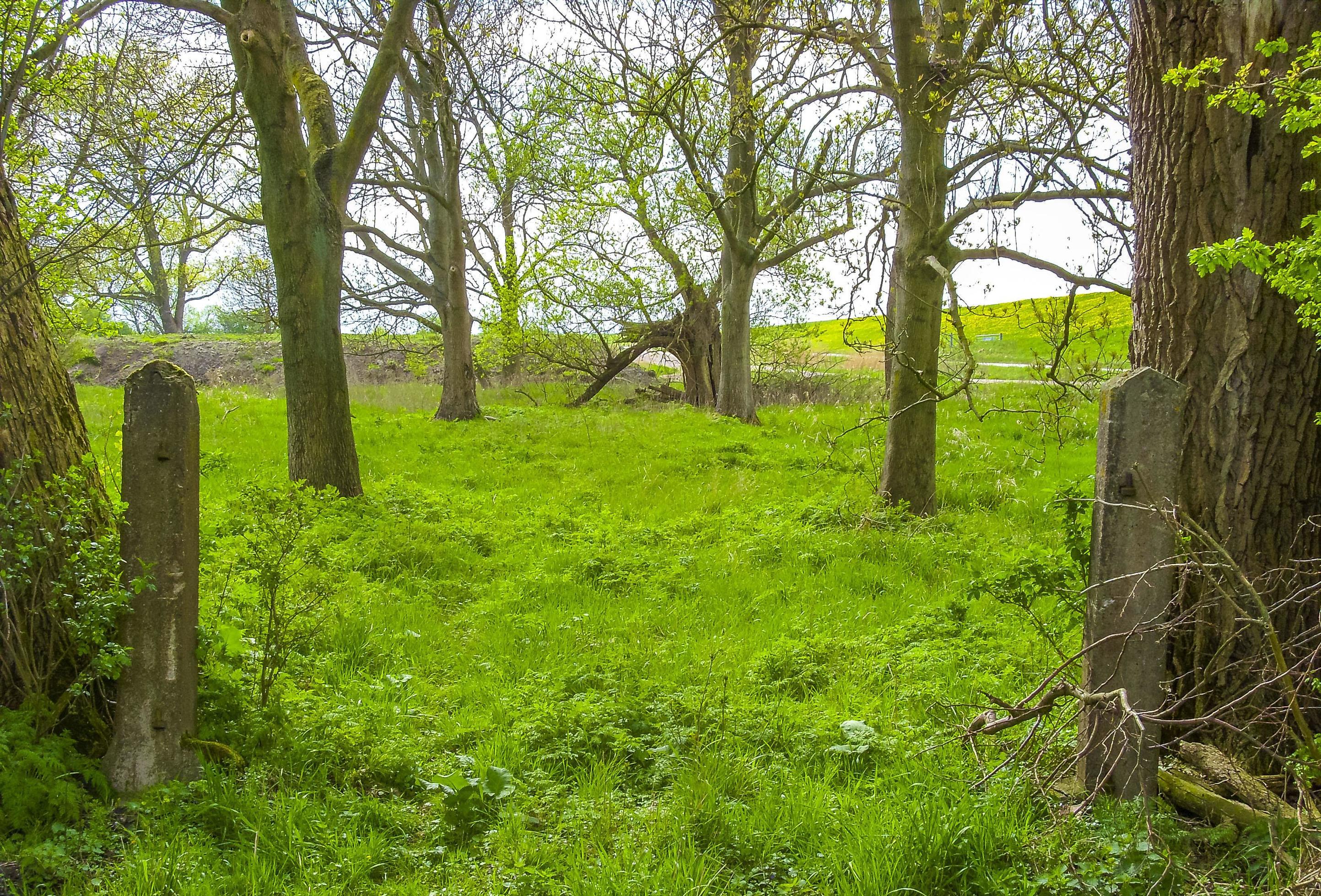 Natural panorama view with moor water coast trees forest Germany. Stock Free