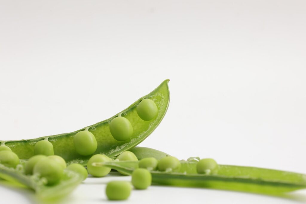 Pea on white background Stock Free