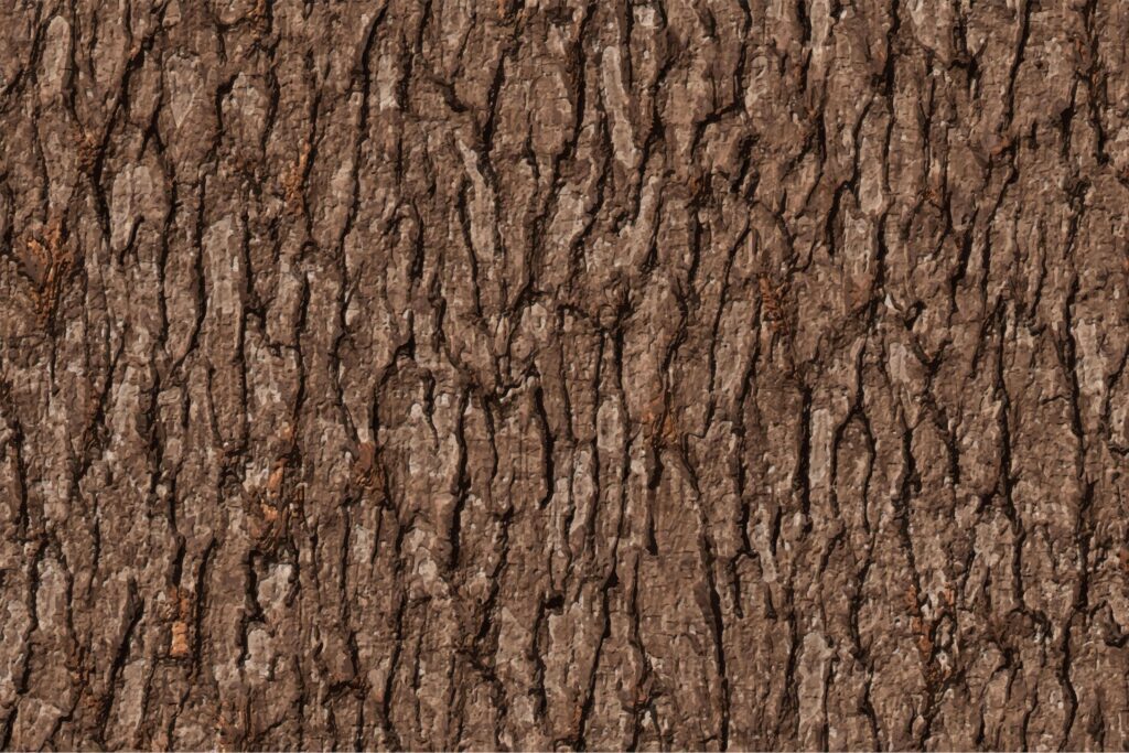 brown bark texture background Stock Free