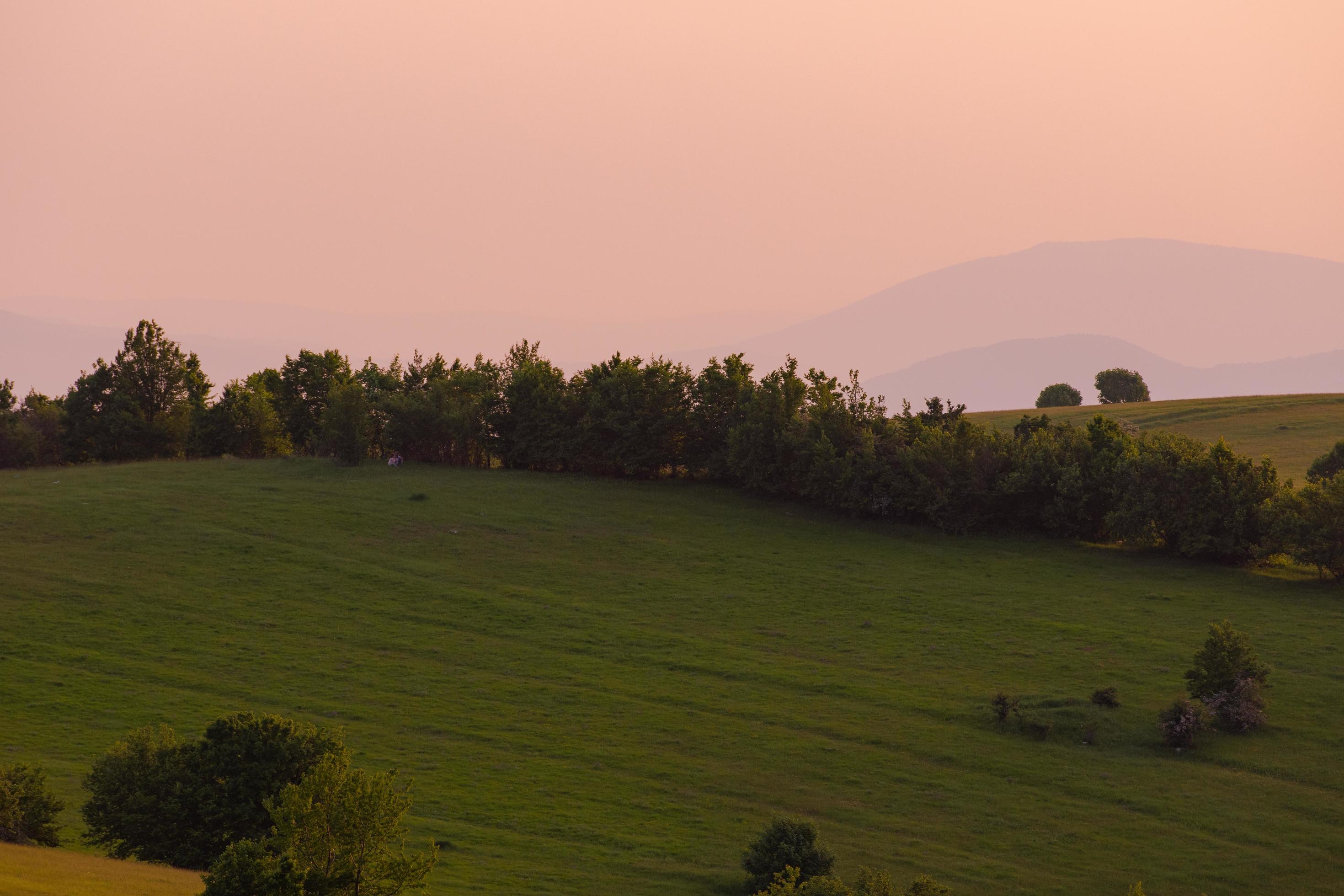 landscape nature summer Stock Free