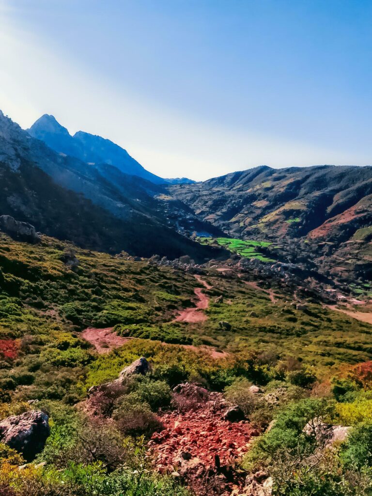 Nature at the top of the mountain Stock Free