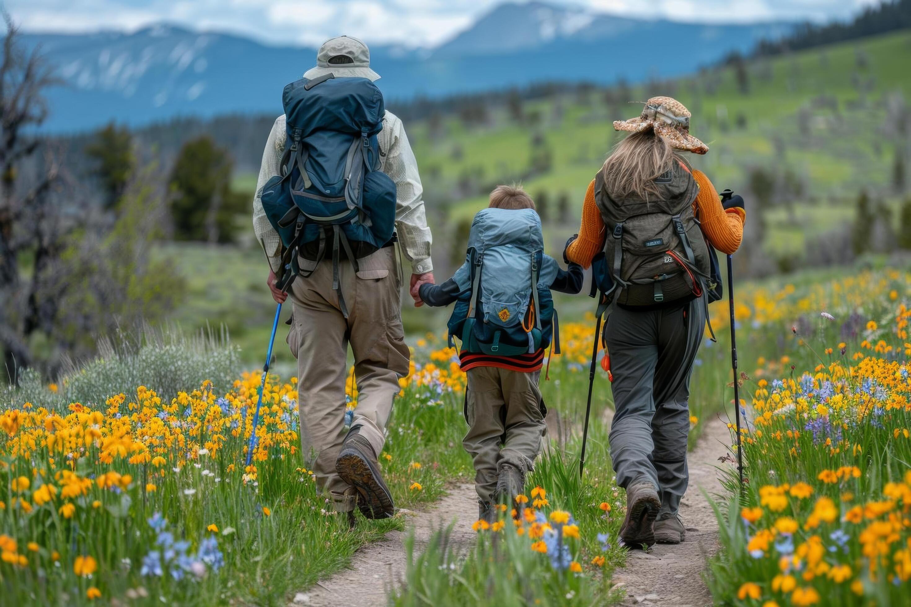 A family hiking on a wellmarked trail with backpacks and walking sticks Stock Free