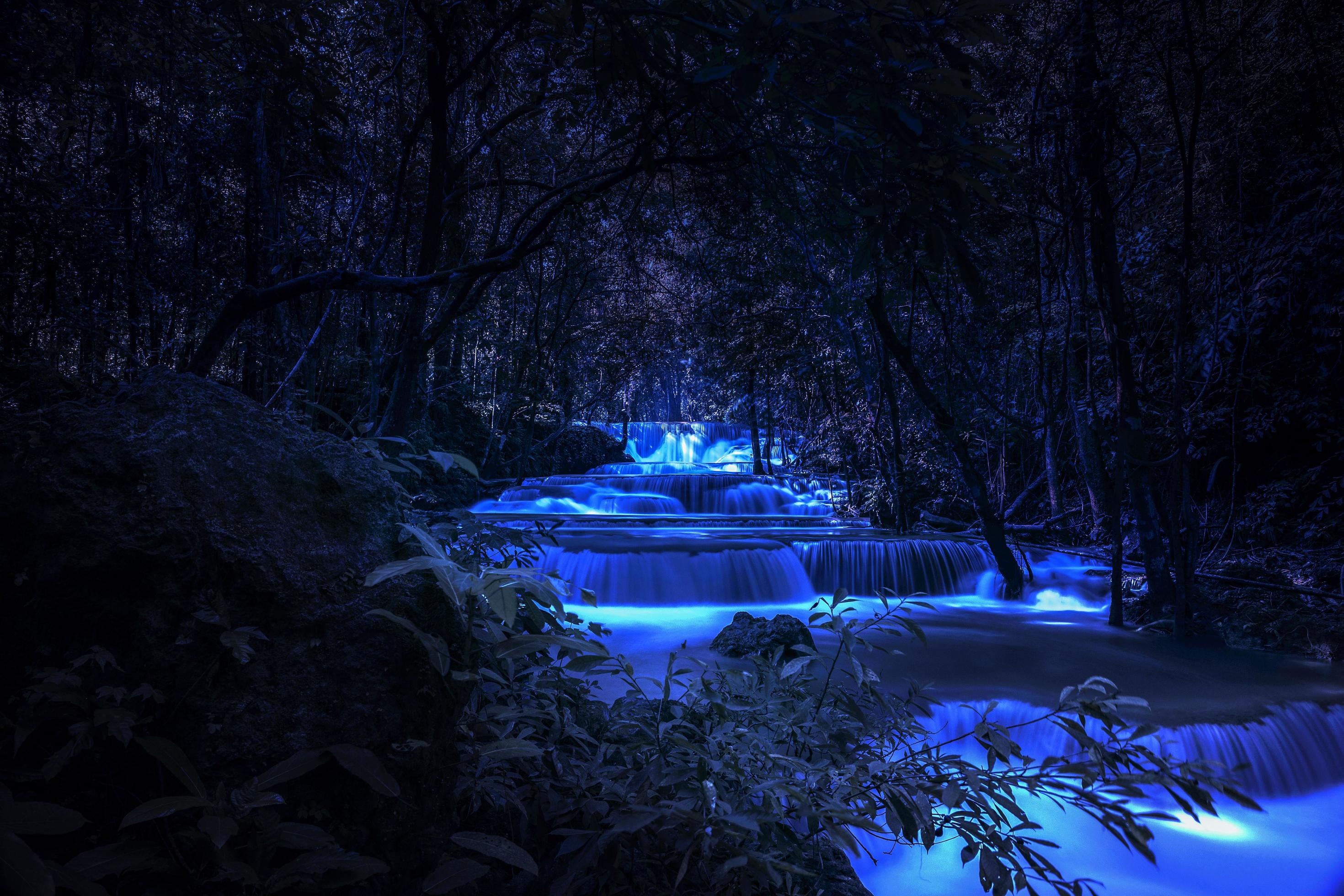 Beautiful waterfall nature scenery of colorful at a night deep tropical fantasy jungle Stock Free