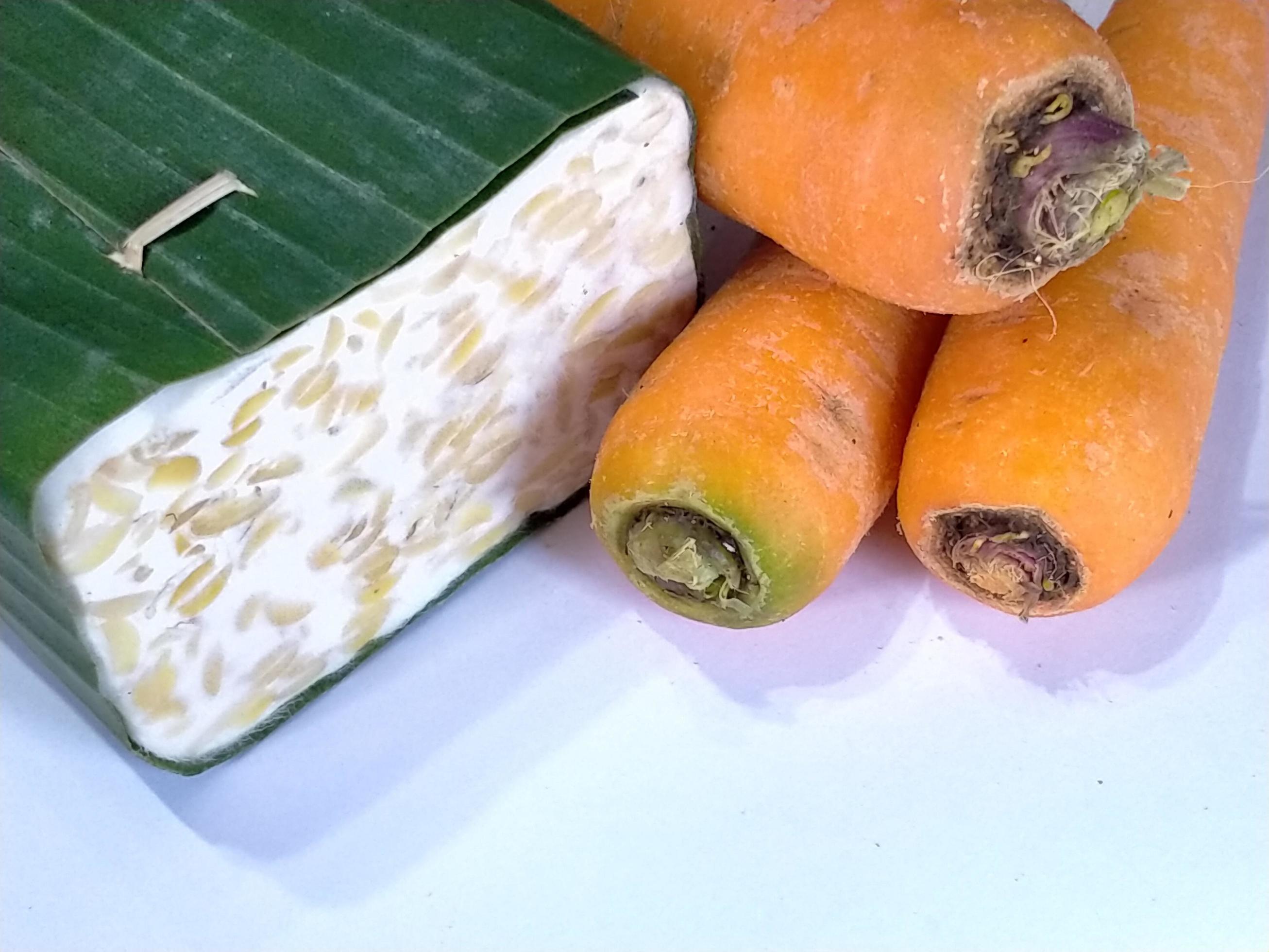 Raw tempeh or tempe and carrot.Tempeh is a traditional Indonesian food made from fermented soybeans. Stock Free