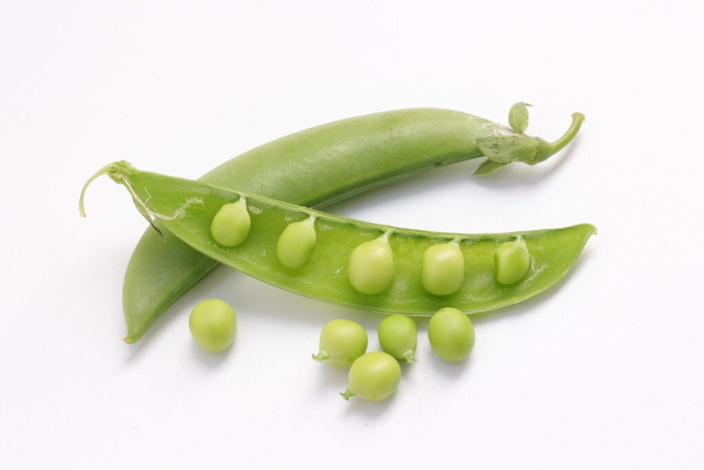 Pea on white background Stock Free