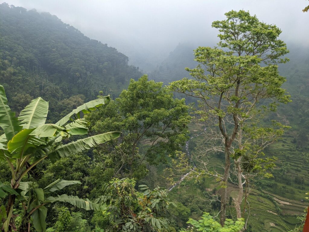 Landscape photo of mountain with fogging forest and cloudy sky. The photo is suitable to use for climate changes poster and nature background. Stock Free