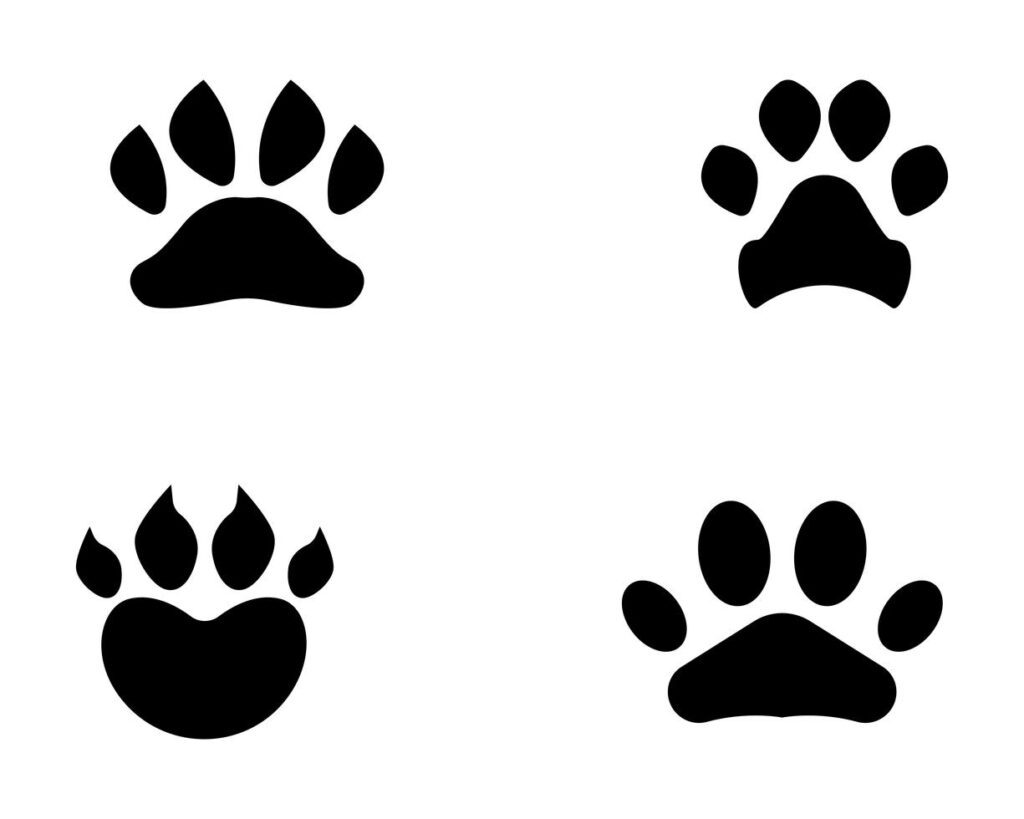 Foot print dog animal pet logo and symbols Stock Free