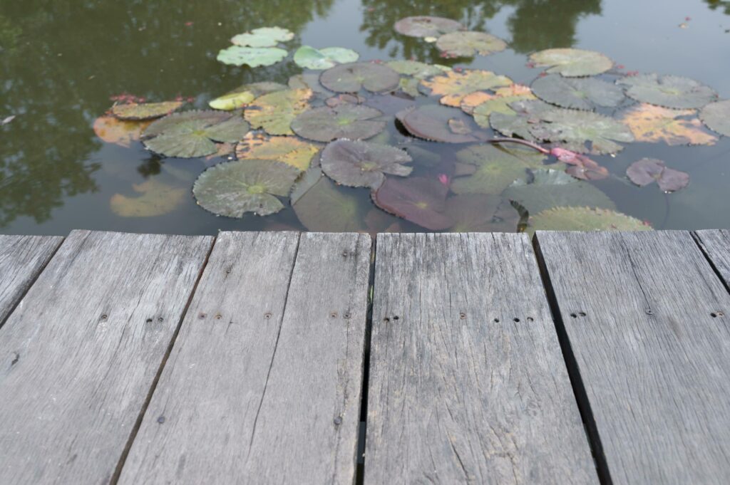 Wooden table behind blurred lotus pond on nature background Stock Free