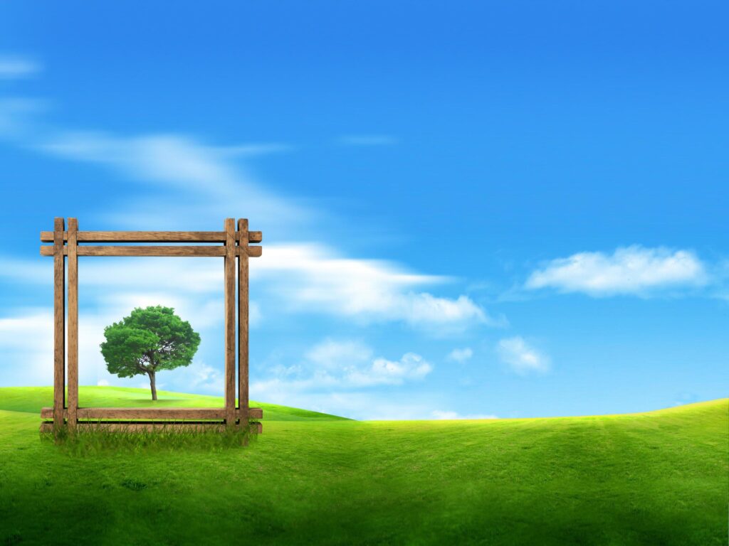 Wooden frame with a tree on the lawn Stock Free