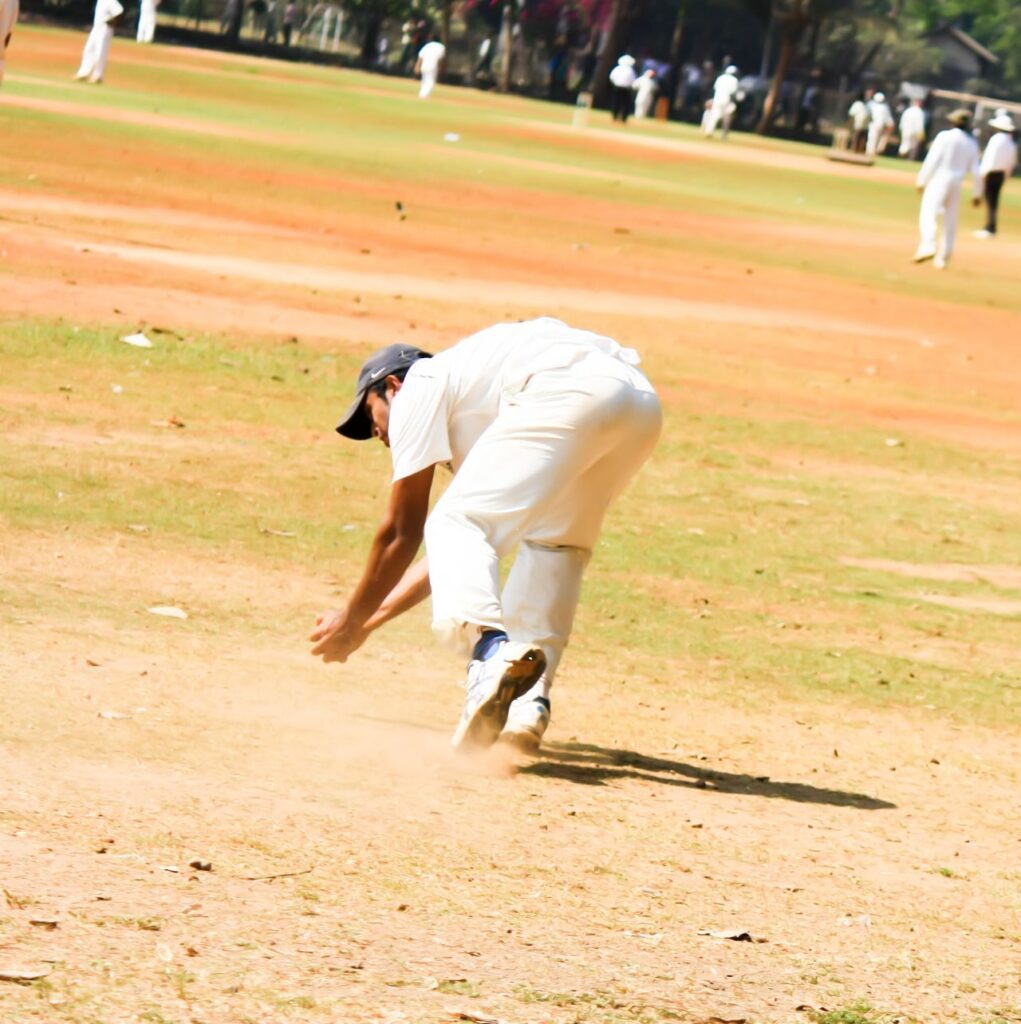 Cricket Fielding Stock Free