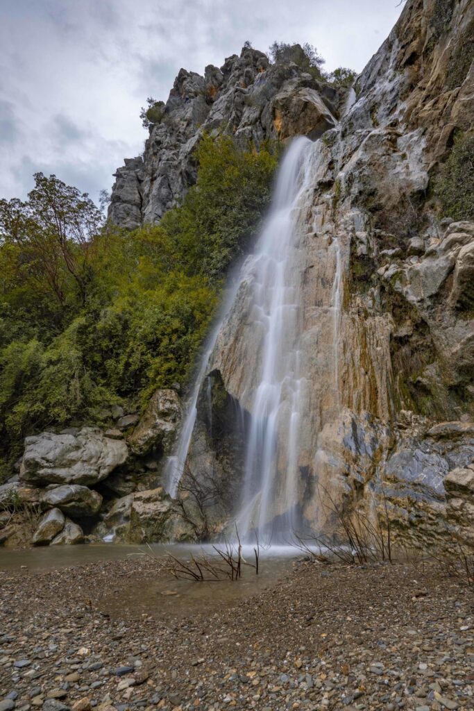 Mountain river stream waterfall green forest Landscape nature plant tree rainforest jungle Stock Free