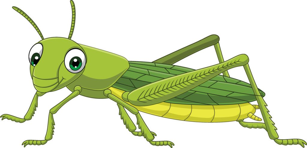 Cartoon grasshopper on white background Free Vector