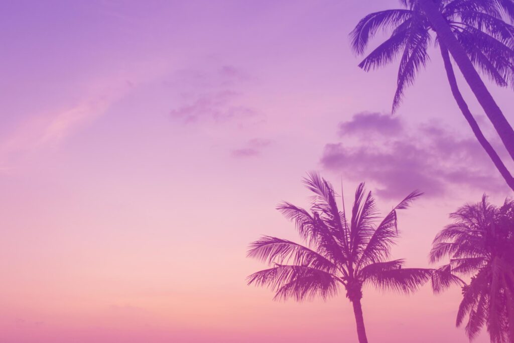 Tropical beach with sunlight, colorful pink purple background Stock Free