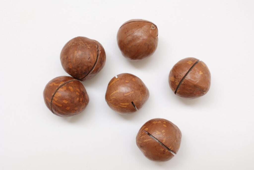 Macadamia nuts seeds background Stock Free