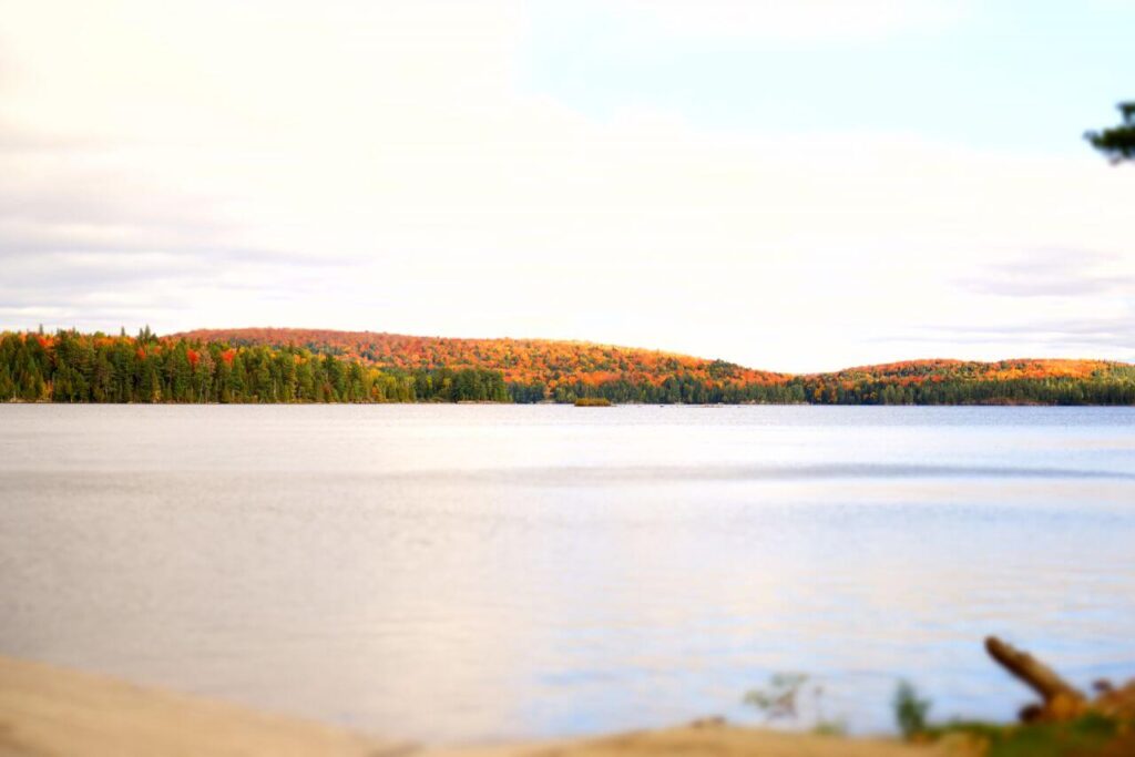 Algonquin Provincial Park Stock Free