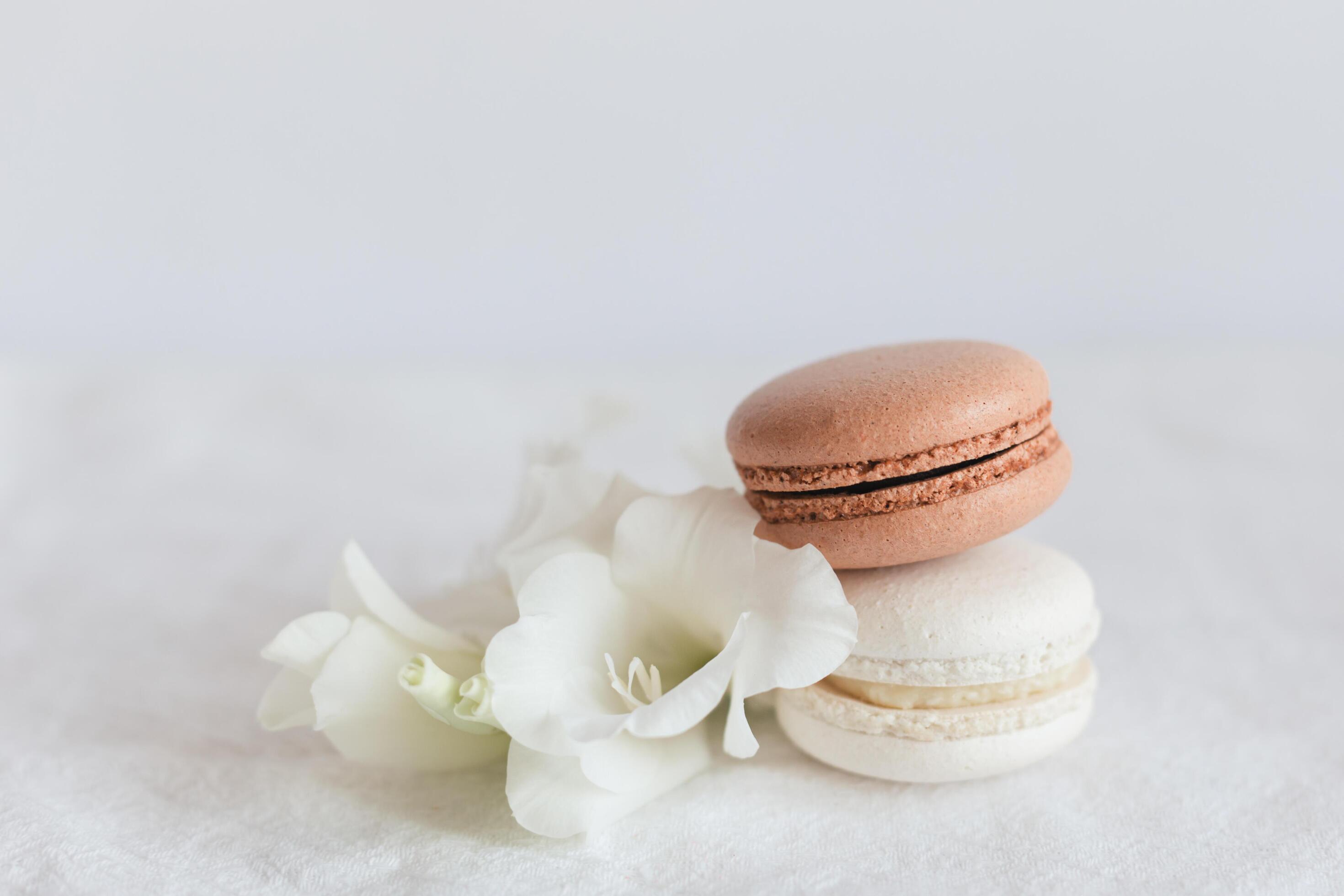 Two French macarons with white flower on a white background. Stock Free