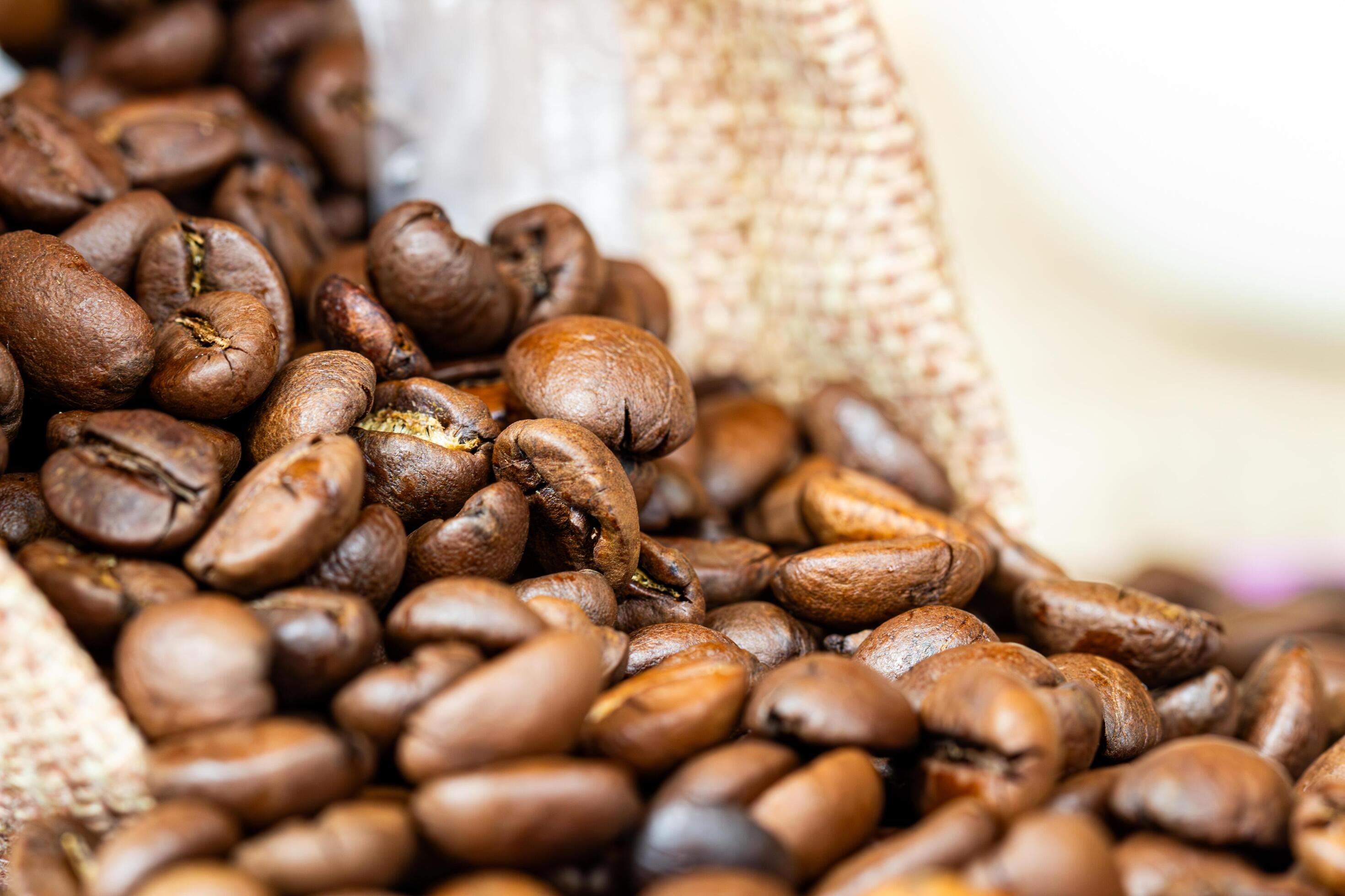 coffee beans in a burlap bag on the purple background Stock Free