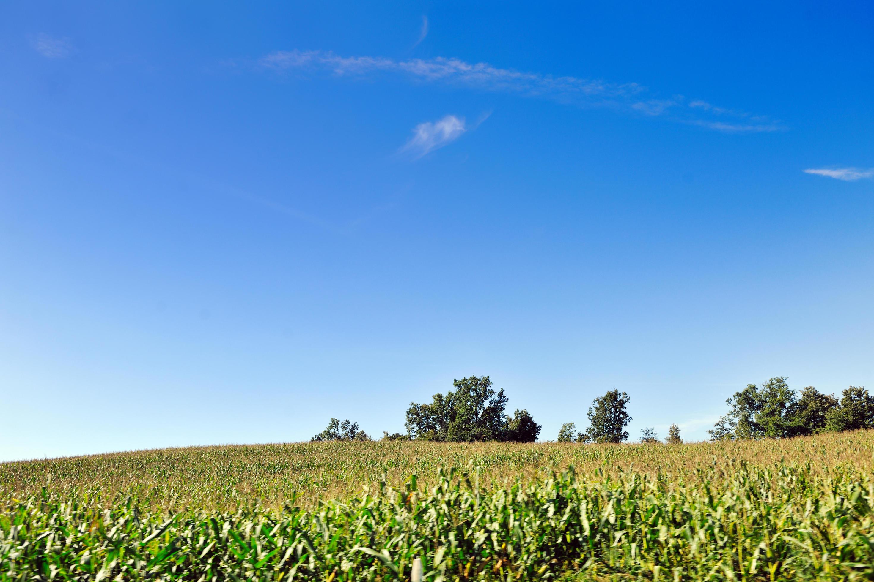 countrysice nature landscape Stock Free