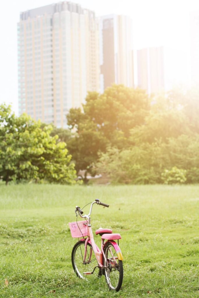 Vintage pink bike parking on grass field in garden with beautiful natural sunlight Stock Free