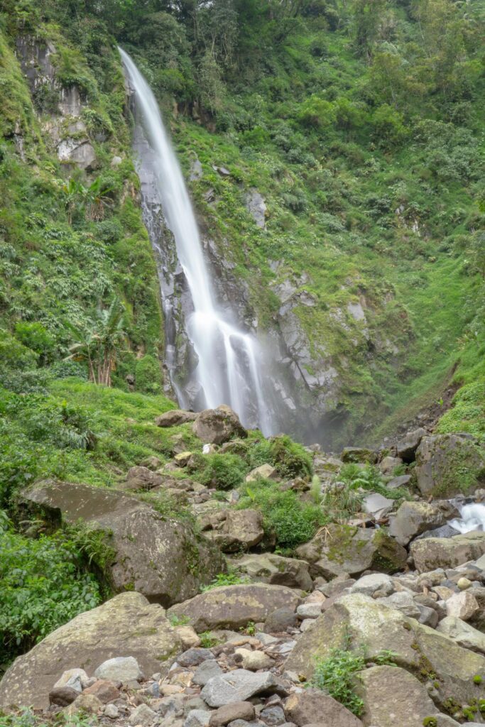 Scenery of single water fall on the tropical forest. The photo is suitable to use for adventure content media, nature poster and forest background. Stock Free