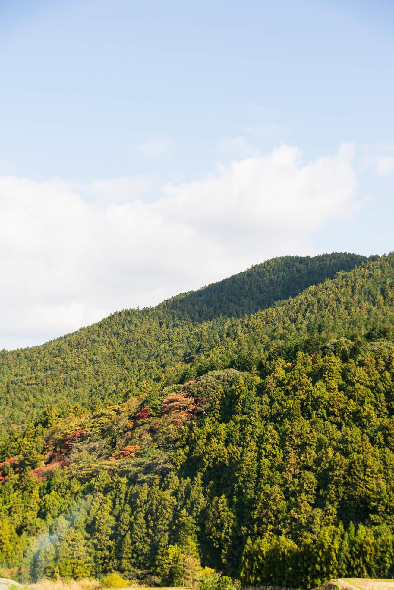 natural mountain range view with pine tree forest on the mountain under sunshine daytime with clear blue sky Stock Free