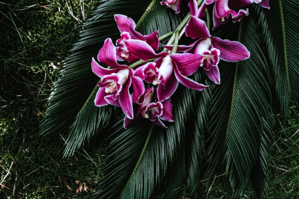 Tropical arrangement with dendrobium and sago palm Stock Free