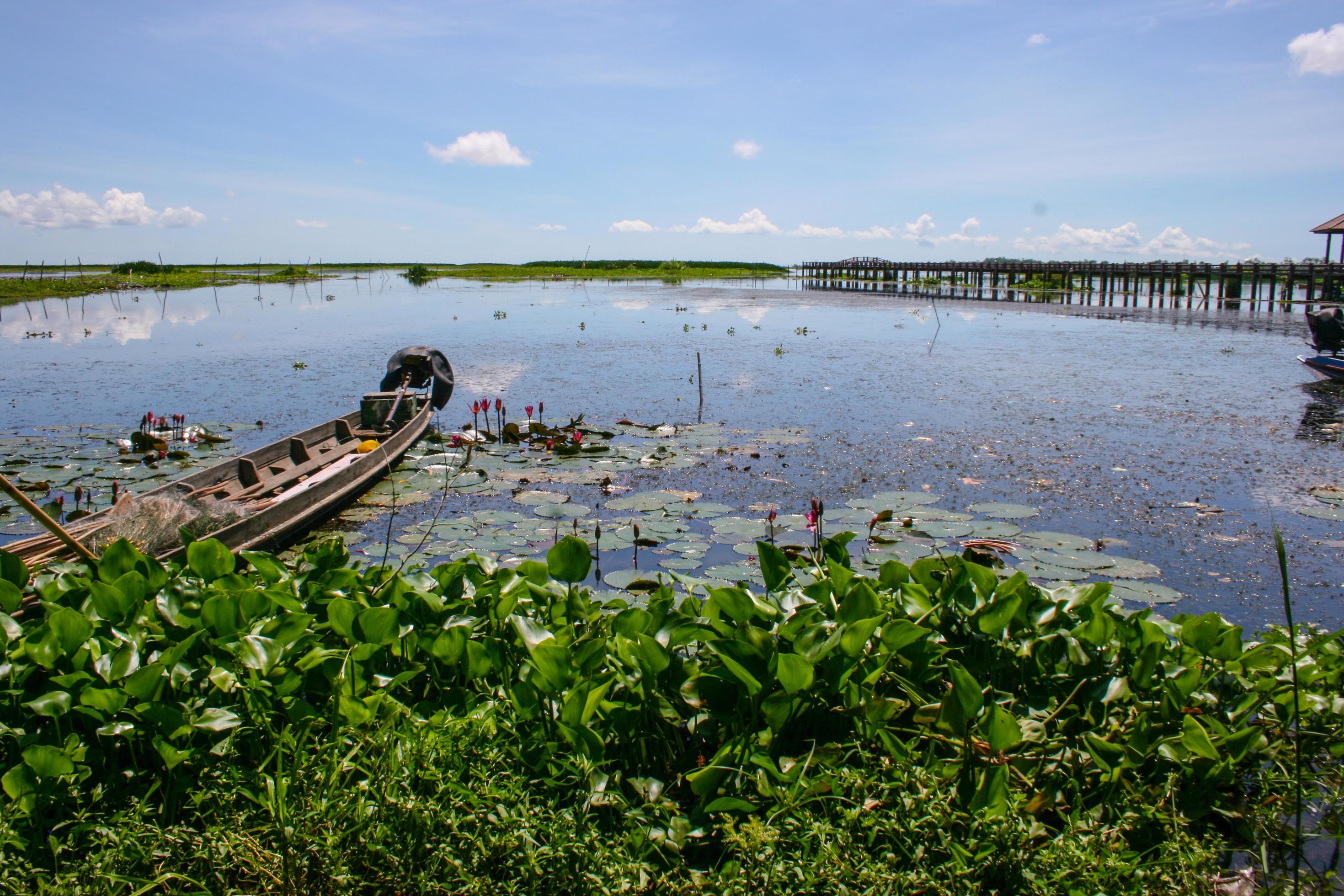 A wooden boat takes a tour of the nature in the lake. 2 Stock Free