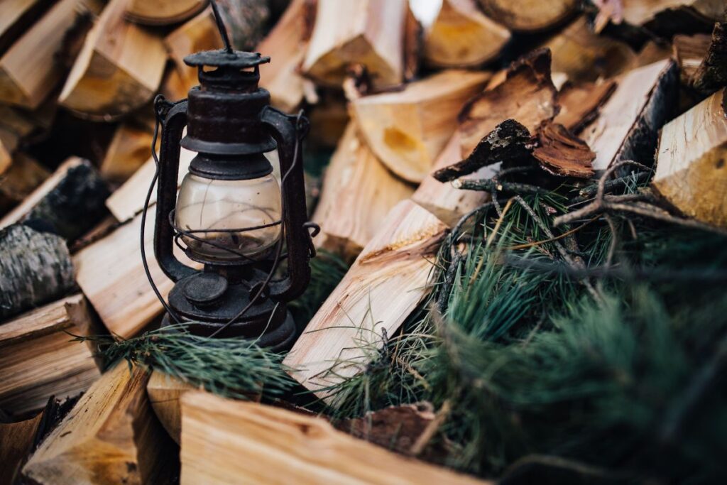 Chopping wood in the forest Stock Free