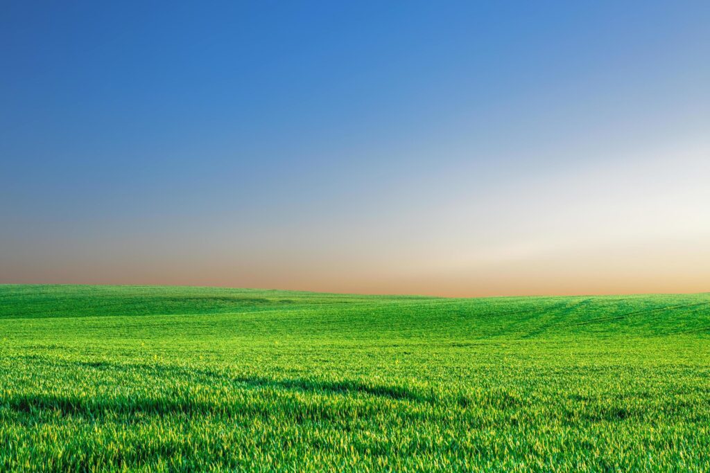 A large meadow in the background is the sky. nature background image concept Stock Free