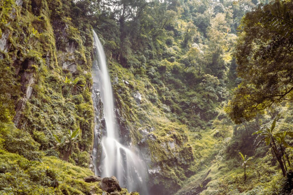 Scenery of single water fall on the tropical forest. The photo is suitable to use for adventure content media, nature poster and forest background. Stock Free