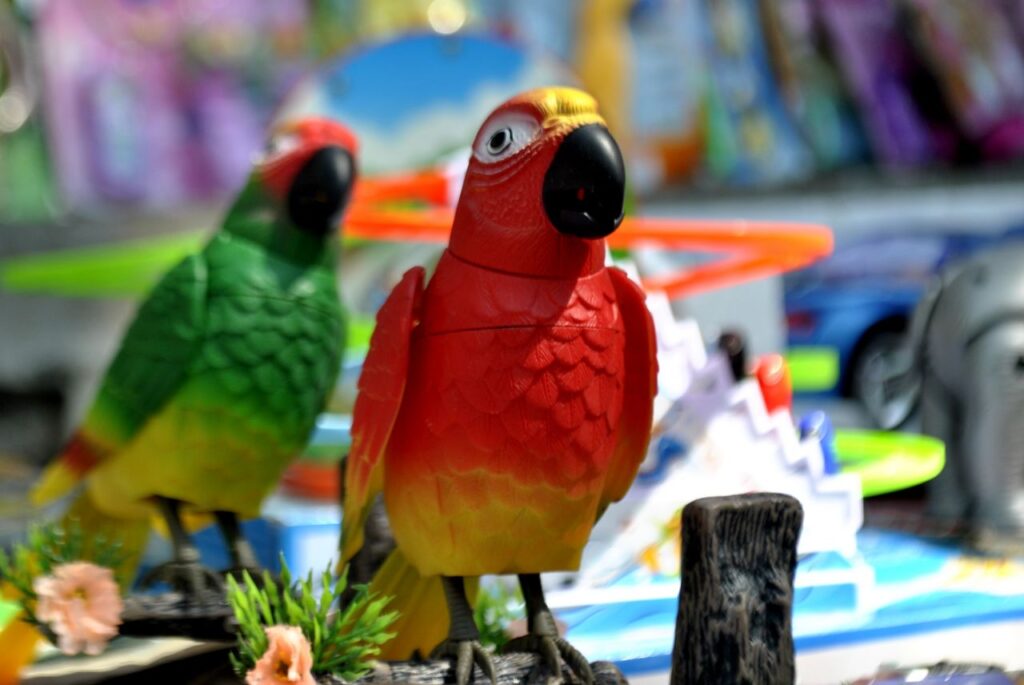 Parrot Toys Stock Free