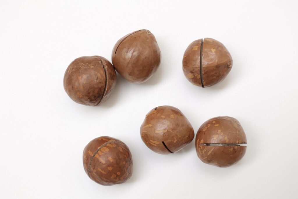 Macadamia nuts seeds background Stock Free