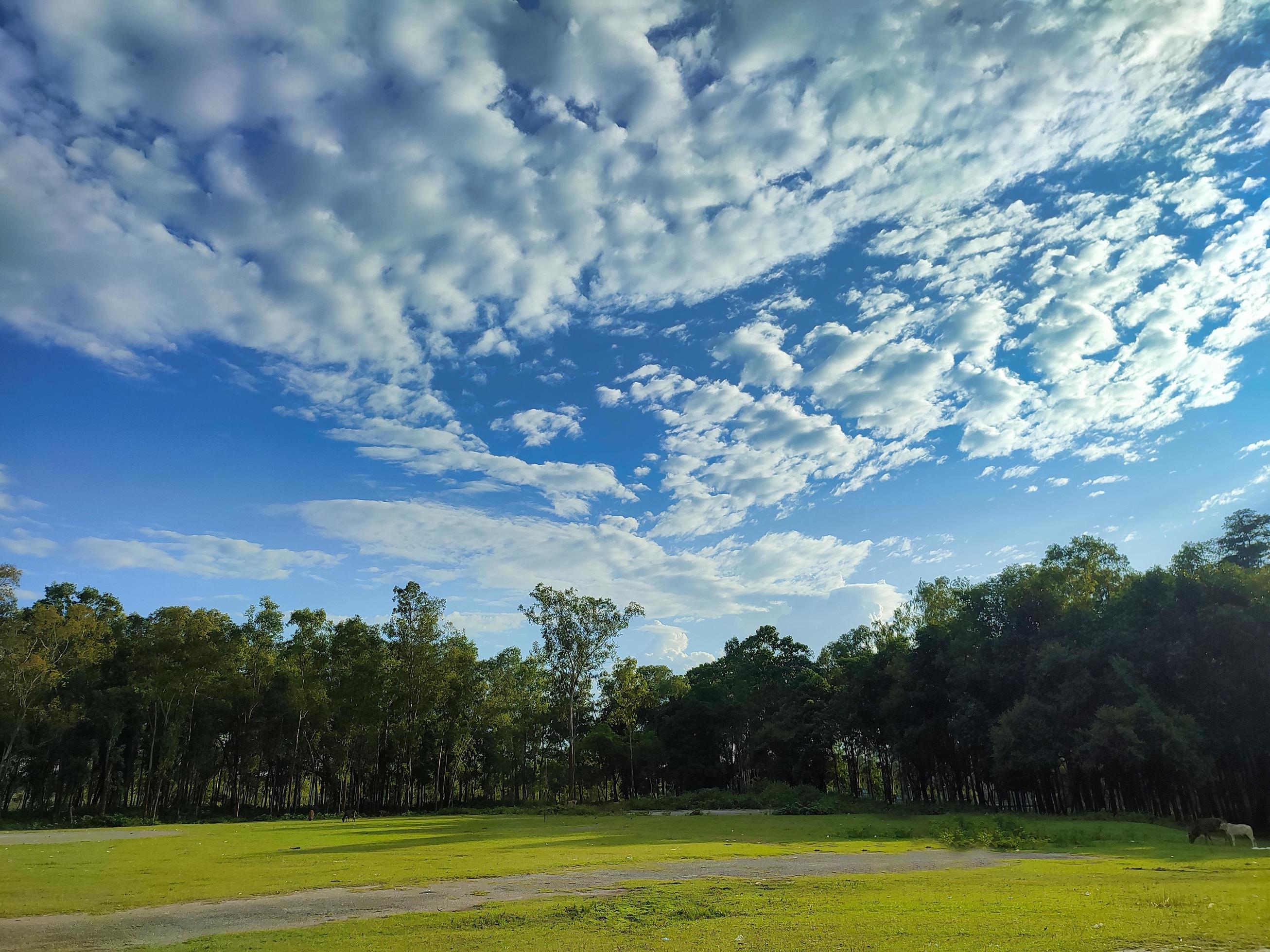 Down angle view with blue sky in Asia.Beauty natural scenery. Stock Free